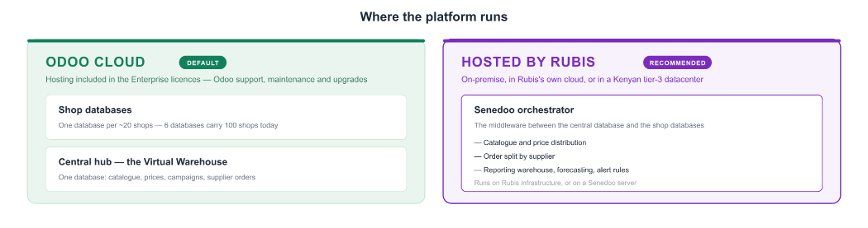 Où tourne la plateforme : cloud Odoo ou hébergement dédié