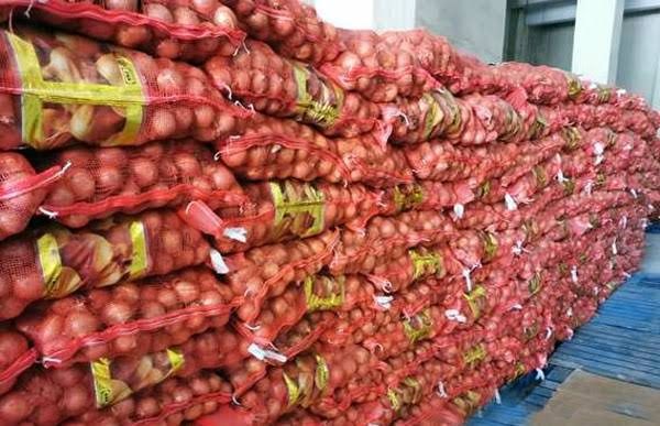 Stockage sous froid — sacs d'oignons palettisés