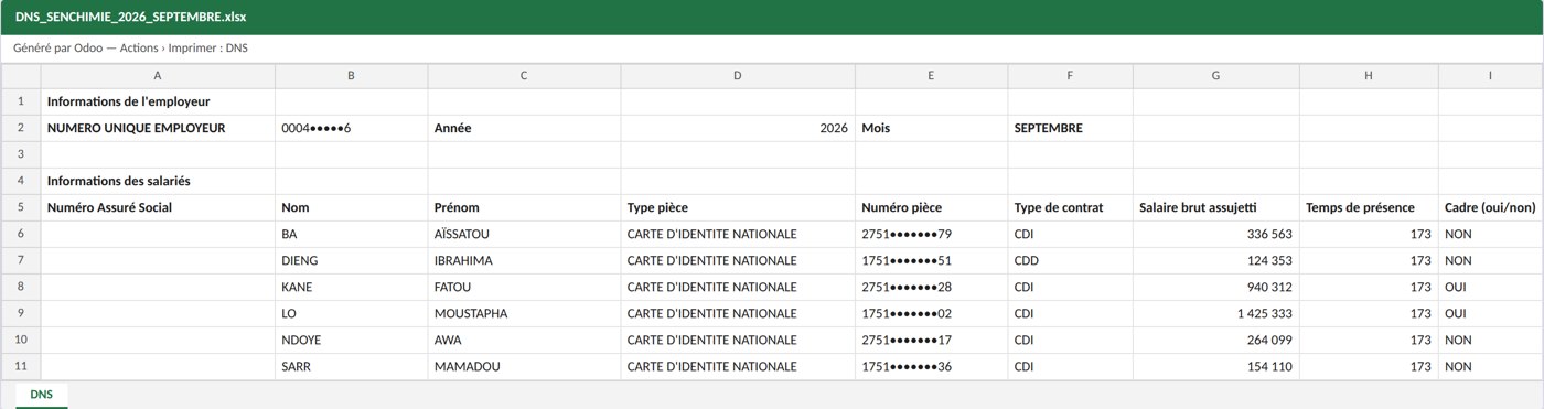 The nominative salary return (DNS), as an Excel file ready to file