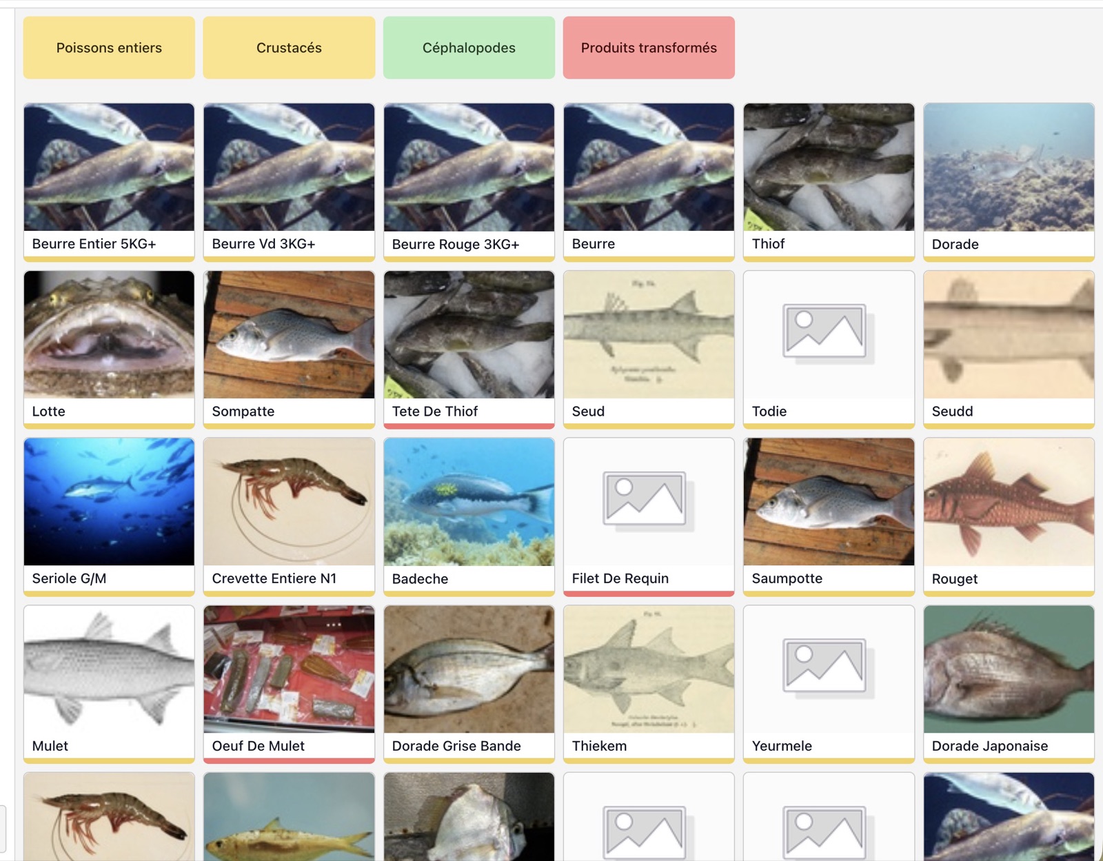 Barham Fish — poissons entiers, crustacés, céphalopodes, produits transformés